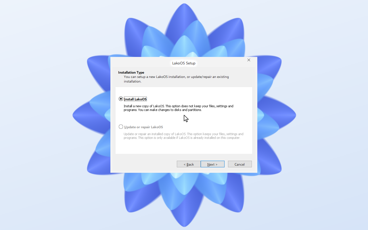 Installation type