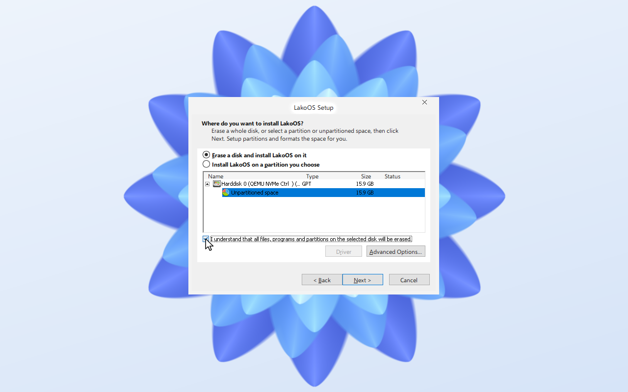 Choose the disk